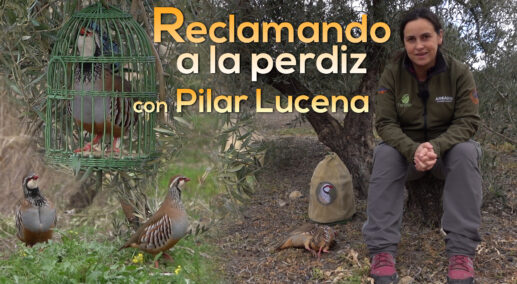 Pasión en la menor: Reclamando a la perdiz con Pilar Lucena